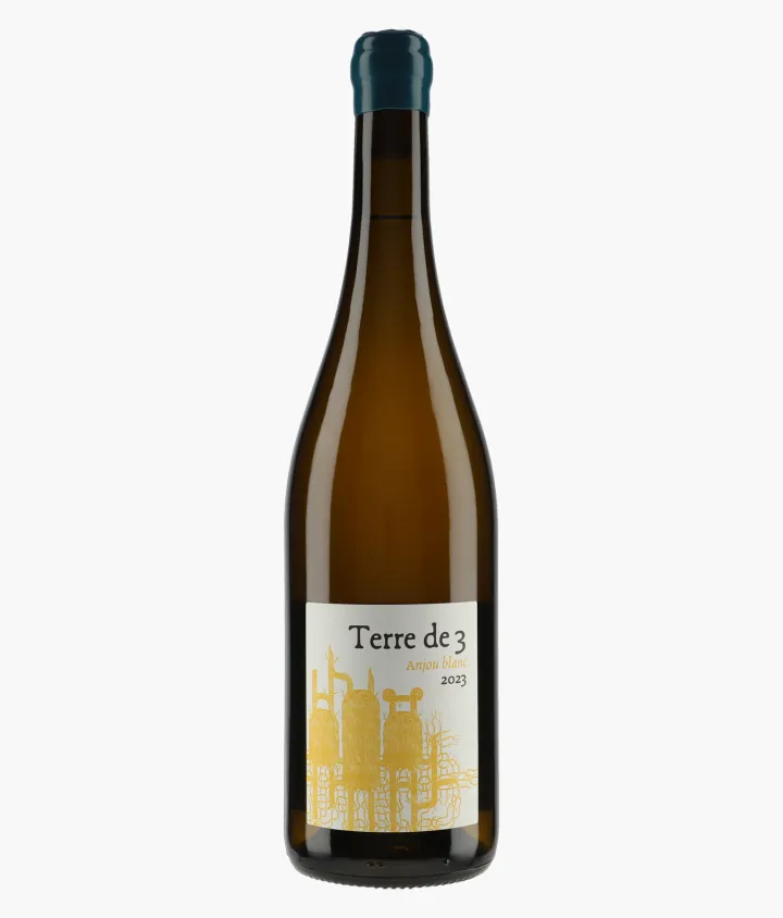 Anjou Terre de 3