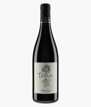 MOULIN DE GASSAC | Terra Rouge 2021