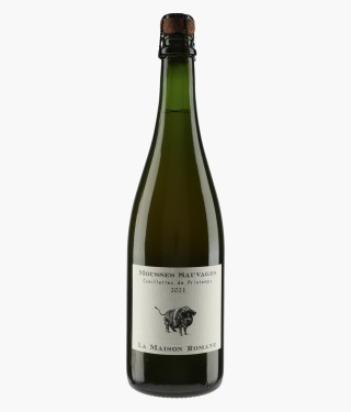 Mousses Sauvages Cueillettes de Printemps