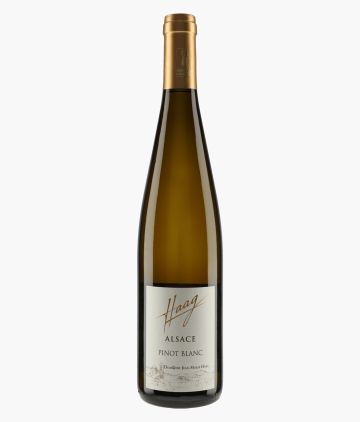 Pinot Blanc