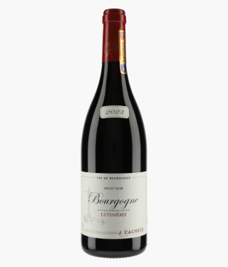 CACHEUX JACQUES | Bourgogne Pinot Noir Lutenières 2023