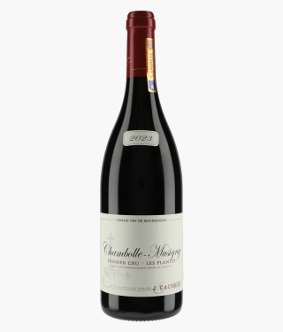 CACHEUX JACQUES | Chambolle-Musigny 1er Cru Les Plantes 2023