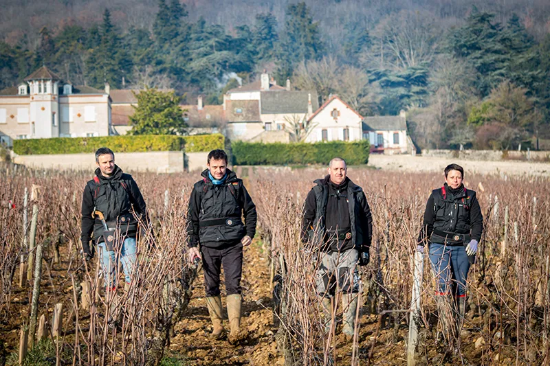 Domaine Jean-Baptiste Ponsot